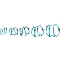 Flamingo Harnais Ziggi turquoise, taille : XS / largeur : 10 mm