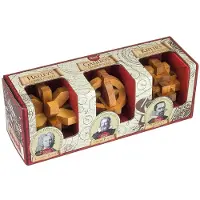 Professor puzzle Great Minds Set de 3 puzzles en bois (Astronomes)