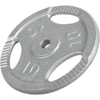 Gorilla Sports Disques en Fonte avec poign?es - 31 mm - Gris - De 0,5 KG ? 20 KG