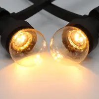 LumenXL Kit guirlande avec ampoules LED 1-2W