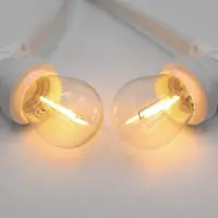 LumenXL Kit guirlande avec ampoules à filament LED de 1 watt, avec câble blanc