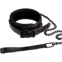 Blaze Collar and Leash collier avec laisse purple 73 cm