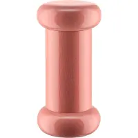 Alessi Salt-Pepper Castor, P (Art.-Nr. ES19 2, EAN 8003299455546)