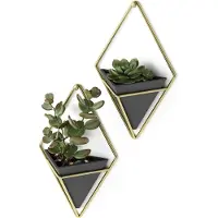 Umbra Trigg muurdisplay (set van 2)