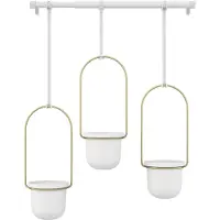 Umbra Ensemble de 3 cintres pour plantes Triflora