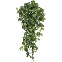 Mica Decorations Scindapsus Plante Artificielle Suspendue - L15 x L30 x H80 cm - Vert