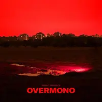 Bertus Distributie Overmono - Fabric Presents Overmono [Vinyl Lp] Digital Download