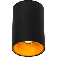 QAZQA Spot intelligent noir avec or et source de lumière WiFi GU10 - Deep