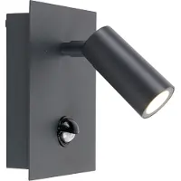 TRIO Applique d'extérieur grise IP54 avec détecteur de mouvement LED - Simon