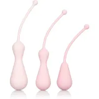 Inspire Weighted Kegel Training Kit