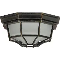 Rabalux Milano plafonnier extérieur 1x E27 or antique