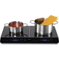 Medion Plaque de cuisson double induction (MD 15324)