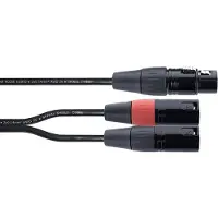 Cordial XLR - 2x XLR (0.30 m, Câbles XLR)