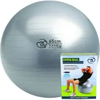 Fitness-Mad Anti-burst Fitball Argenté 65 cm