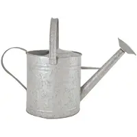 Pflanzen-Kölle Arrosoir Zinc 3,5l