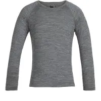 Icebreaker 200 Oasis Crew Merino Long Sleeve T-shirt Gris 4 Years Enfants