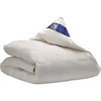 Ten Cate Couette Ten Cate - Couette 200x200 - Couette en duvet - Couettes - Couette en duvet 200x200 - Couette 4 saisons 200x200 - 90% Duck down - Couette été & hiver