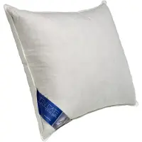 Ten Cate Oreiller - Oreiller de tête Douleurs de cou - Oreillers - Duvet de canard et plumes de canard - Demi-duvet - Convient aux dormeurs sur le dos, sur le côté et sur le ventre - Oreiller