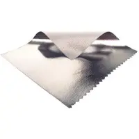 Sunbounce Grand Réflecteur Argent / Blanc
