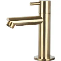 Differnz Wastafelkraan Recht †“ Kraan Koud Water †“ Toiletkraan †“ Mat Goud (30.412.90)