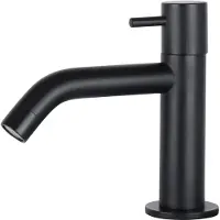 Differnz Robinet d'eau noir - Robinet de cuisine pour eau froide avec bec courbé - Robinetterie de lavabo pour salle de bains compacte - Noir, raccord G1/2