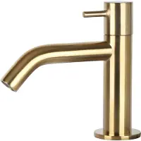 Differnz Tableau de toilette courbe Kraan Koud Water Toiletkraan Mat Goud
