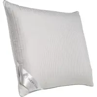 Ducky Dons Oreiller Ducky Dons 60% Duvet de canard