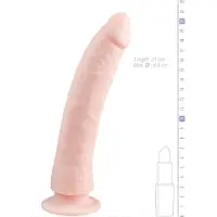 Easytoys Dildo Collection - gode ventouse 100% silicone - réaliste 21cm - couleur chair