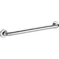 Delabie Poignée de maintien D32 L600mm inox poli