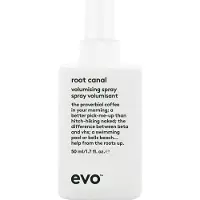 Evo Root Canal Volumising Spray spray volumisant pour racines 50 ml