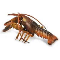 Collecta Homard (deluxe) 88920