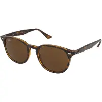 Ray-Ban Sluneční brýle RB4259 710/73