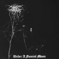 Snapper Consignment Under A Funeral Moon