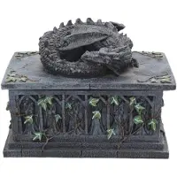 NEMESIS Boîte de rangement Gothic de - Dragon Tarot Card Box - pour Indifférent - gris - Taille Standard