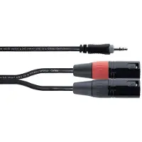 Cordial EY 1 WMM XLR Y-Adapter (1x Klinkenstecker 3.5 mm - 2x XLR-Stecker 3 poli, Adaptateur audio, Noir