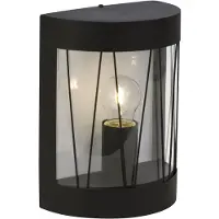 Brilliant Applique DExtérieur En Demi-Sphère Reed En Noir