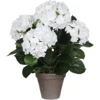 Mica Decorations Plante artificielle Hortensia - blanche - 45 cm - en pot - Plantes artificielles/fausses plantes