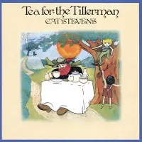 Cd Tea For The Tillerman