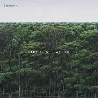 Proper S&D Consignment Semisonic - You're Not Alone [Vinyl]
