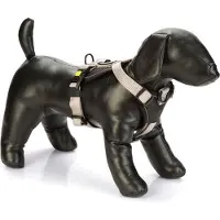 Beeztees Premium Parinca Y Dog Harness Gris 49-57 cm x 20 mm