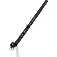 Karlie Collier De Chien Buffalo Diamants 1 Row