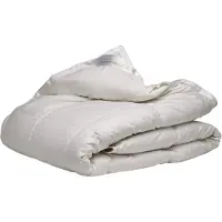 Ducky Dons Couette 4 Saisons Duvet de Canard Nordic Ducky Dons-140 x 220 cm