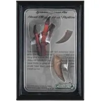 Collecta Set cadeau - Préhistoire