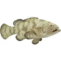 Safari Ltd 265329 Perche Goliath 14 cm, série Animaux aquatiques