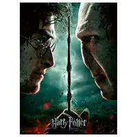 Ravensburger Puzzle - XXL : Harry Potter VS Voldemort (200 pièces)