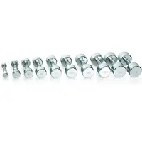 Gymstick Haltère Pro Chrome 1.5kg Unit