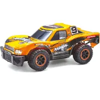 Ninco RC Radical Auto 1:14