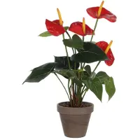 Mica Decorations Plante artificielle Anthurium - rouge - 40 cm - pot gris - fausse plante - plante d'intérieur