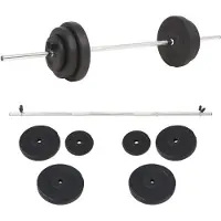 vidaXL Ensemble d'haltères longs 30 kg
