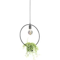QAZQA Suspension moderne noire avec verre rond - Roslini